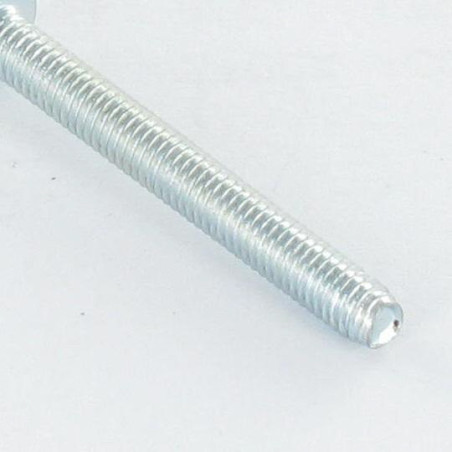 1 x Zelftappende schroef bolvormige kopschroef M6X10 Pozi PZ8 Wit verzinkt staal