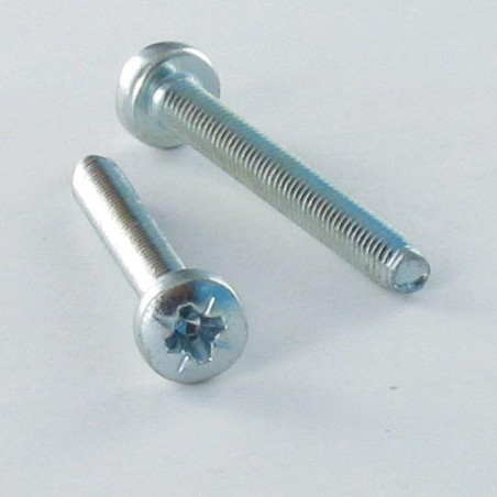 1 x Zelftappende schroef bolvormige kopschroef M3X6 Pozi PZ6 Wit verzinkt staal microschroeven