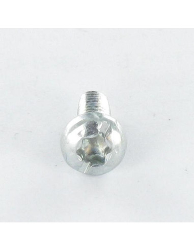 1 x Zelftappende schroef cilindrische kop TORX...