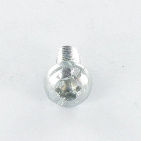 1 x Zelftappende schroef cilindrische kop TORX bedraad op split 4X10 kartel Wit verzinkt staal