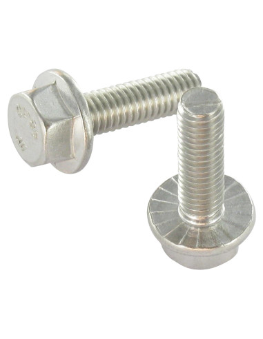 1 x Metalen schroeven zeskantkop TH basis met...