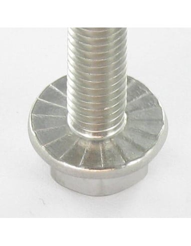 1 x Metalen schroeven zeskantkop TH basis met...