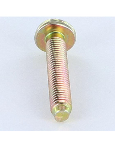 1 x Metalen schroeven Brede bol cilinderkop...