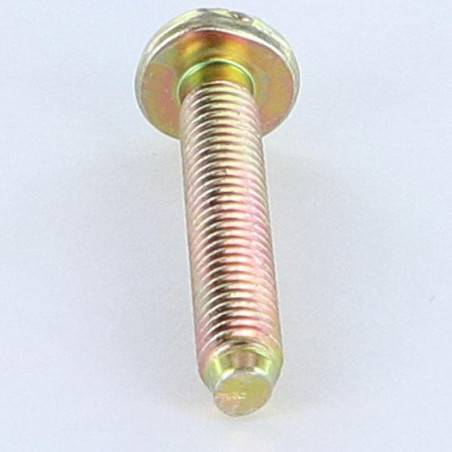 1 x Metalen schroeven Brede bol cilinderkop split M6X35 BP Bichromaat