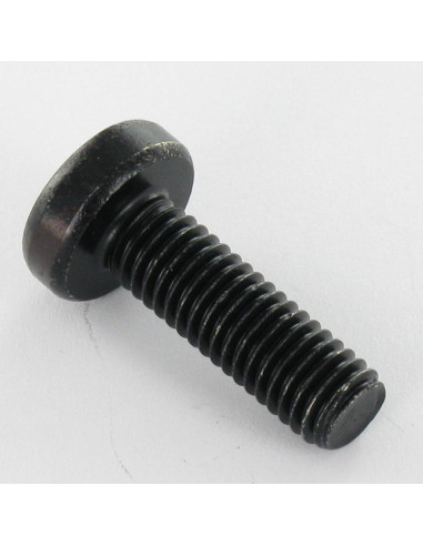1 x Metalen schroeven bolvormige kopschroef...