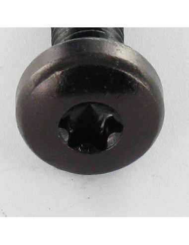 1 x Metalen schroeven bolvormige kopschroef...