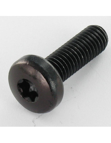 1 x Metalen schroeven bolvormige kopschroef...