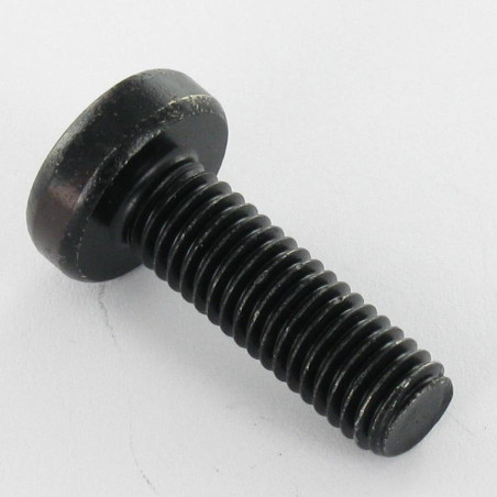 1 x Metalen schroeven bolvormige kopschroef M4X16 TORX T20 Zwart gegalvaniseerd staal
