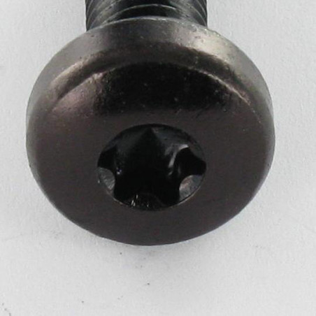 1 x Metalen schroeven bolvormige kopschroef M4X20 TORX T20 Zwart gegalvaniseerd staal