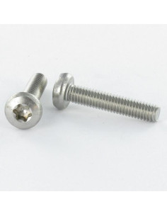 Metalen schroeven bolvormige kopschroef TORX T40 M8X25...