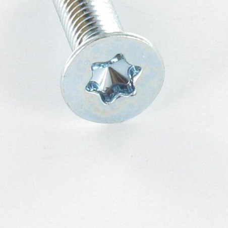 1 x Metalen schroeven gefreesde kop TORX T10 M3X10 Klasse 4.8 Wit verzinkt staal microschroeven