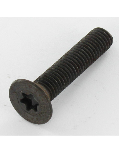 1 x Metalen schroeven gefreesde kop TORX T30...