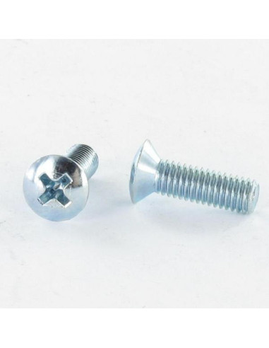 1 x Metalen schroeven gefreesde bolkop Pozi...