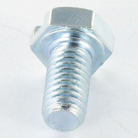 1 x Metalen schroeven zeskantkop TH M6X8 split Wit verzinkt staal