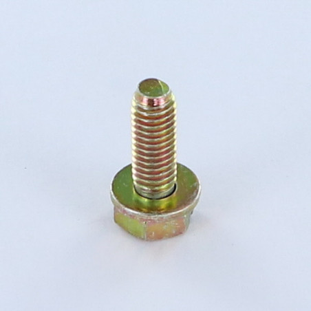 1 x Metalen schroeven zeskantkop met split M6X18 met Sluitring Bichromaat