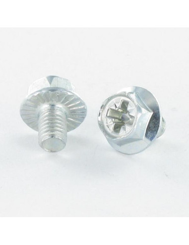 1 x Metalen schroeven zeskantkop TH Pozi M6X8...
