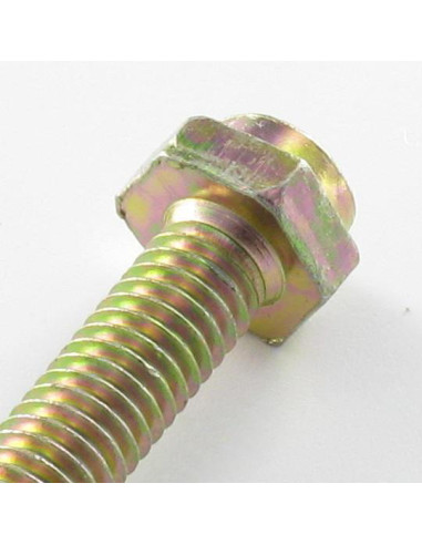 1 x Cassette schroef zeskantkop TH Pozi M6X45...