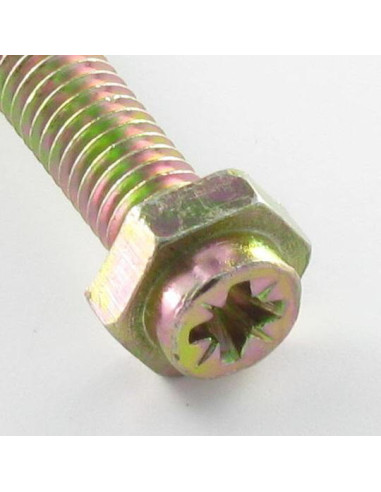 1 x Cassette schroef zeskantkop TH Pozi M6X45...