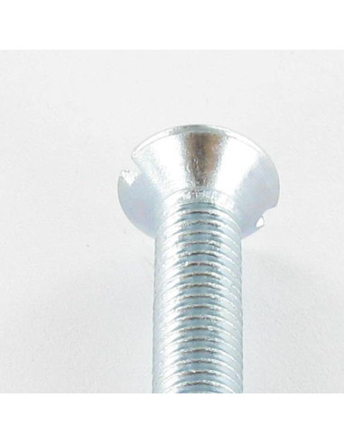1 x Metalen schroeven gefreesde kop split...