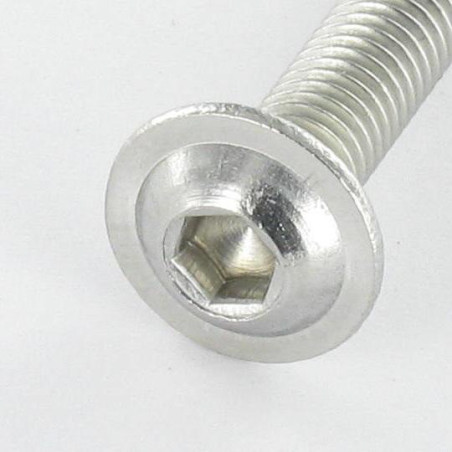 1 x Metalen schroeven Zeshoekig hol kraagflens M8X40 sleutel van 5 RVS A2