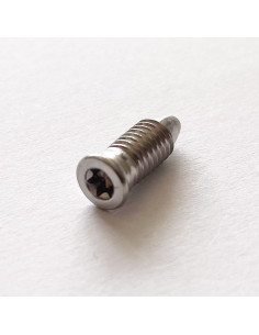 Metalen schroeven gefreesde kop TORX T15 M5X13.5 RVS A2