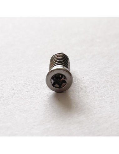 1 x Metalen schroeven gefreesde kop TORX T15...