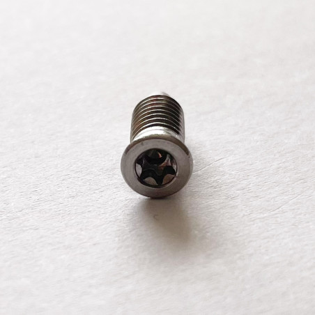1 x Metalen schroeven gefreesde kop TORX T15 M5X13.5 RVS A2
