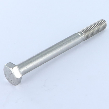1 x Gedeeltelijke schroefdraad van het bout RVS A2 zeskantkop TH M10X100