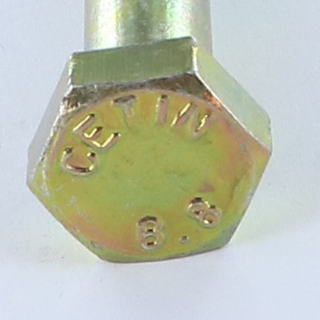1 x Gedeeltelijke schroefdraad van het bout zeskantkop TH M10X100 Klasse 8.8 Bichromaat