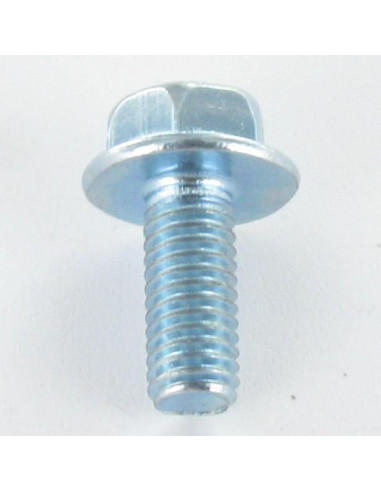 1 x Metalen schroeven zeskantkop TH M8X40...