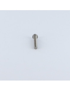 Metalen schroeven bolvormige kopschroef split M2X8 Ruw... 2