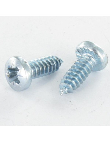 1 x PVC-schroeven bolvormige kopschroef Pozi...