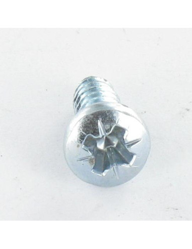1 x PVC-schroeven bolvormige kopschroef Pozi...