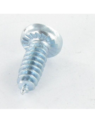 1 x PVC-schroeven bolvormige kopschroef Pozi...