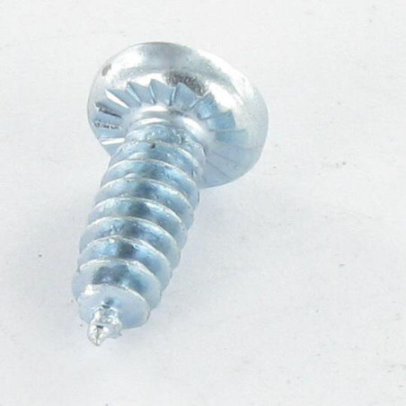 1 x PVC-schroeven bolvormige kopschroef Pozi kartel 4.3X12 Zelfborend Draadstang 30 Wit verzinkt staal