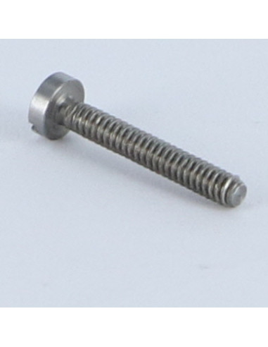 1 x Metalen schroeven cilindrische kop split...