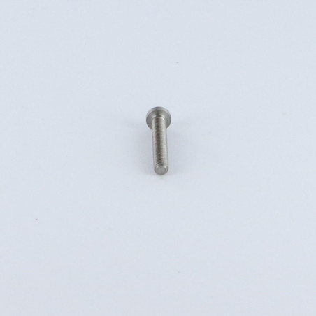 1 x Metalen schroeven bolvormige kopschroef split M1.6X6 Ruw staal microschroeven