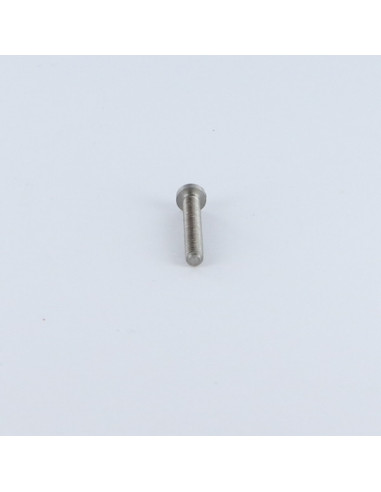 1 x Metalen schroeven bolvormige kopschroef...