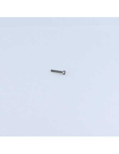 1 x Metalen schroeven cilindrische kop split...