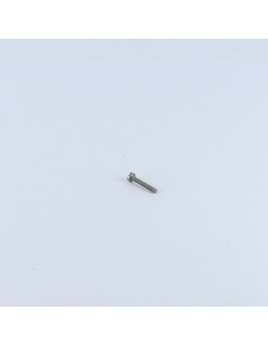 1 x Metalen schroeven cilindrische kop split...