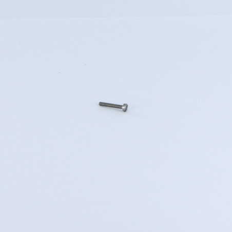 1 x Metalen schroeven cilindrische kop split M2X5 Ruw staal microschroeven