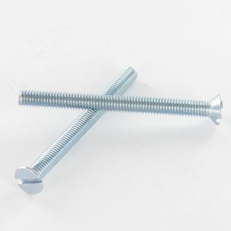 1 x Metalen schroeven gefreesde kop split M3X8 Wit verzinkt staal microschroeven