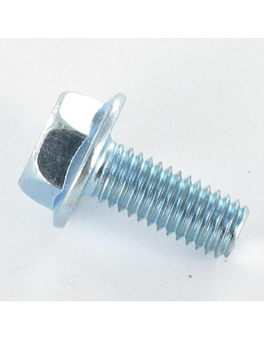 1 x Metalen schroeven zeskantkop TH M6X12...