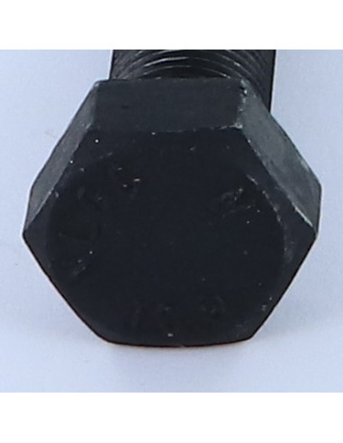 1 x Metalen schroeven zeskantkop TH M20X80...