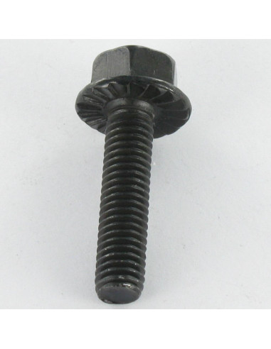 1 x Metalen schroeven zeskantkop TH M6X12 Zwart...