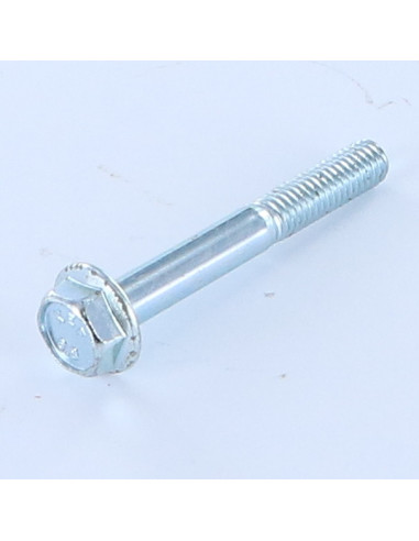 1 x Metalen schroeven zeskantkop TH M6X45...