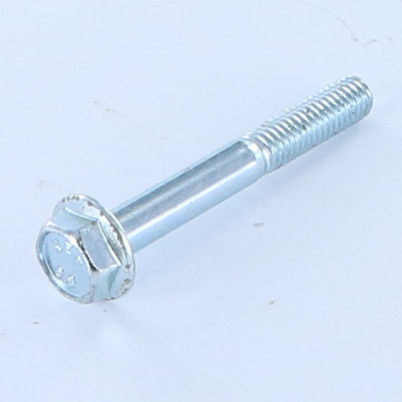1 x Metalen schroeven zeskantkop TH M6X45 gladde flens Wit verzinkt staal