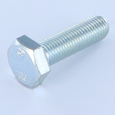 1 x Metalen schroeven zeskantkop TH M10X35 klasse 10.9 volledige draad steek in orde steek van 125 Wit verzinkt staal