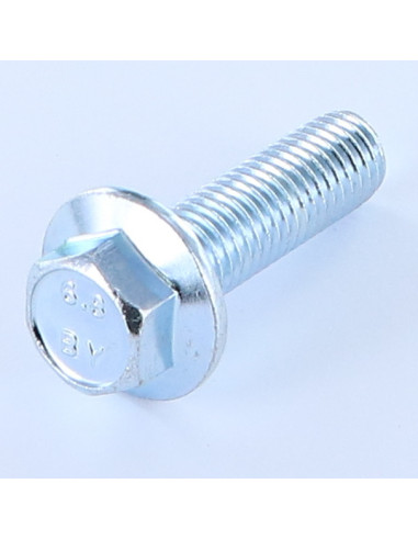 1 x Metalen schroeven zeskantkop TH M12X40...