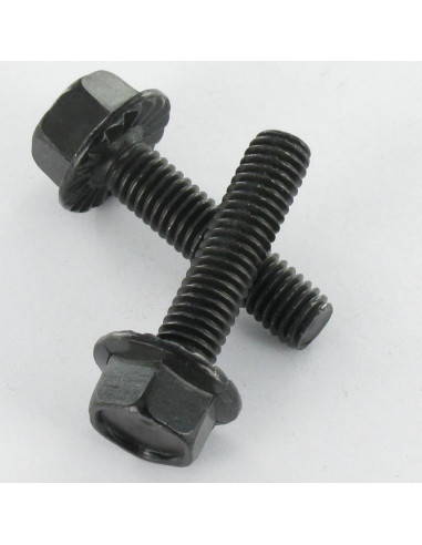 1 x Metalen schroeven zeskantkop TH M8X30 Zwart...